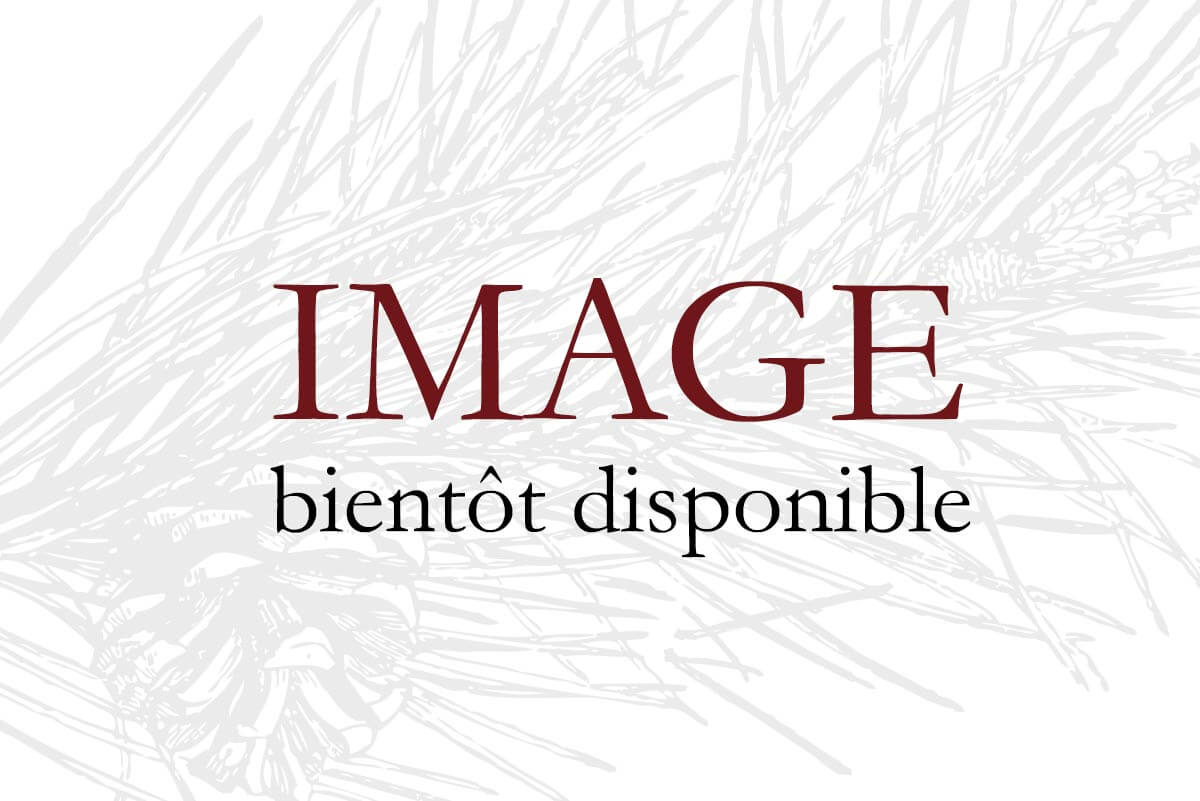 image-bientot-disponible